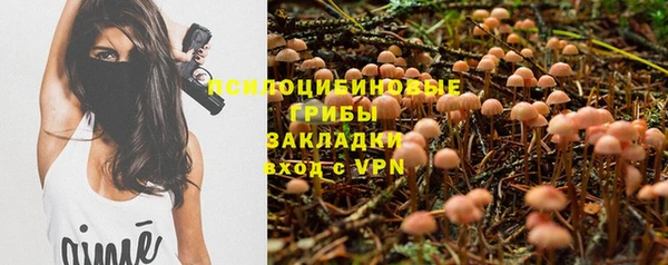 гидра Тавда