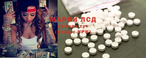 гидропоника Белокуриха